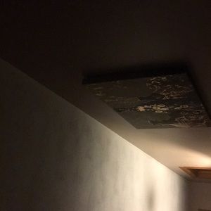 Meet your Posher, Rose